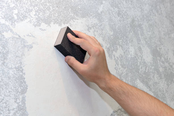 Best Environmental Consulting for Mold Prevention  in Shell Lake, WI