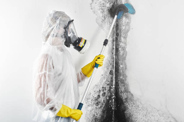 Best Biohazard Mold Removal  in Shell Lake, WI
