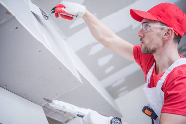 Best Post-Construction Mold Inspection  in Shell Lake, WI